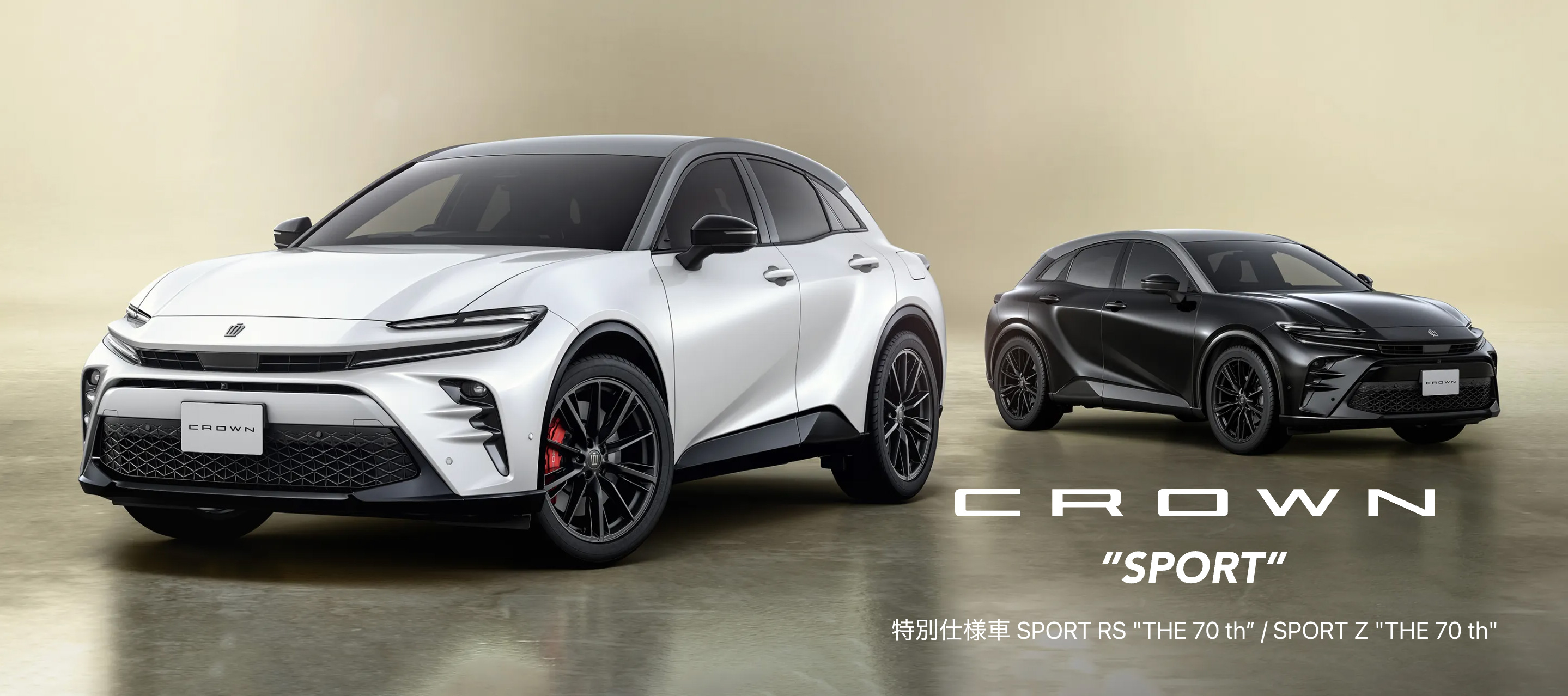 ネクストジャーニー+クラウンなど イグニッションパック ネクサス・フロンティア ｜ Z/X