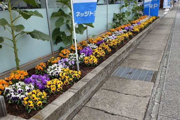 寒河江花壇20260626-2
